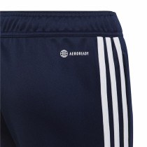 Pantalon de sport long Adidas Tiro 23 Club Bleu