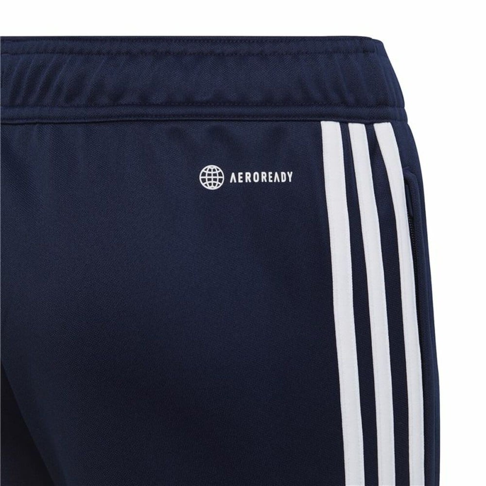 Pantalon de sport long Adidas Tiro 23 Club Bleu