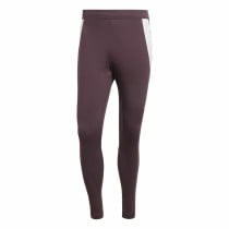 Long Sports Trousers Adidas Fc Bayern 24/25 Tiro24 Brown Maroon Men