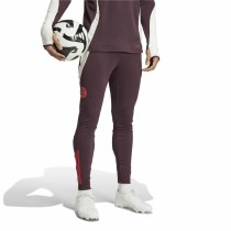 Long Sports Trousers Adidas Fc Bayern 24/25 Tiro24 Brown Maroon Men