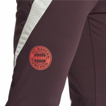 Pantalon de sport long Adidas Fc Bayern 24/25 Tiro24 Marron Bordeaux Homme