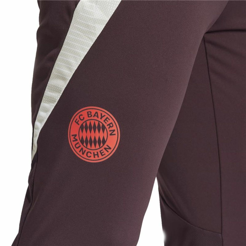 Pantalon de sport long Adidas Fc Bayern 24/25 Tiro24 Marron Bordeaux Homme