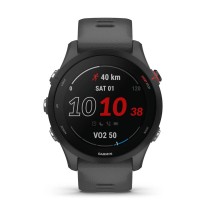 Smartwatch GARMIN Forerunner 255 Grau 1,3" 46 mm