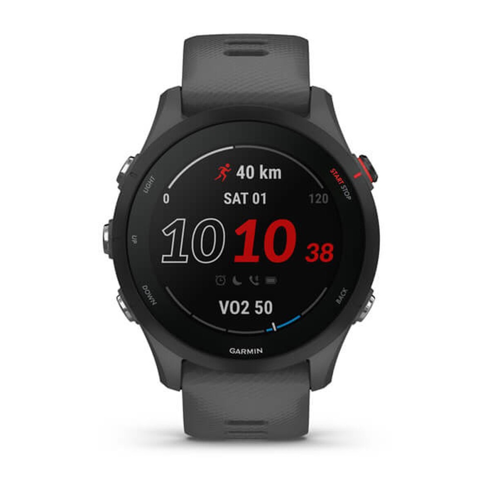 Smartwatch GARMIN Forerunner 255 Grau 1,3" 46 mm