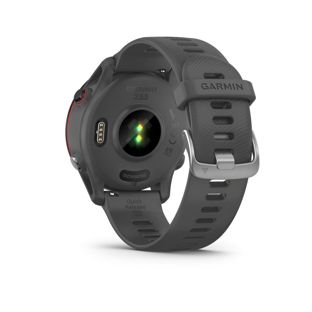 Smartwatch GARMIN Forerunner 255 Grau 1,3" 46 mm