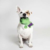 Dog toy The Avengers