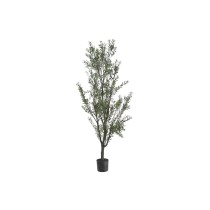 Arbre Home ESPRIT Polyéthylène Olivier