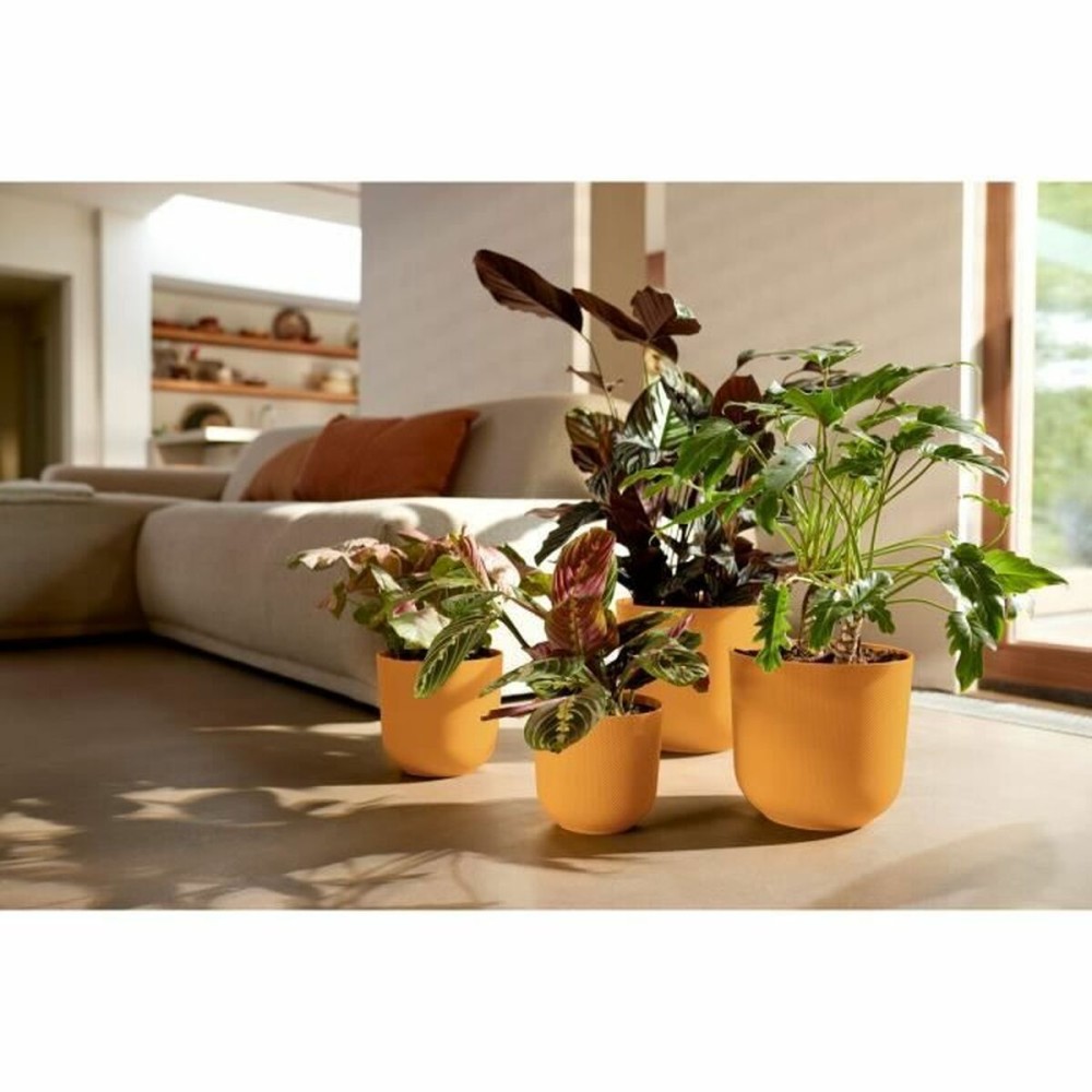 Blumentopf Elho