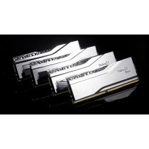 RAM Speicher GSKILL F5-8000J3848F24GX2-TR5S