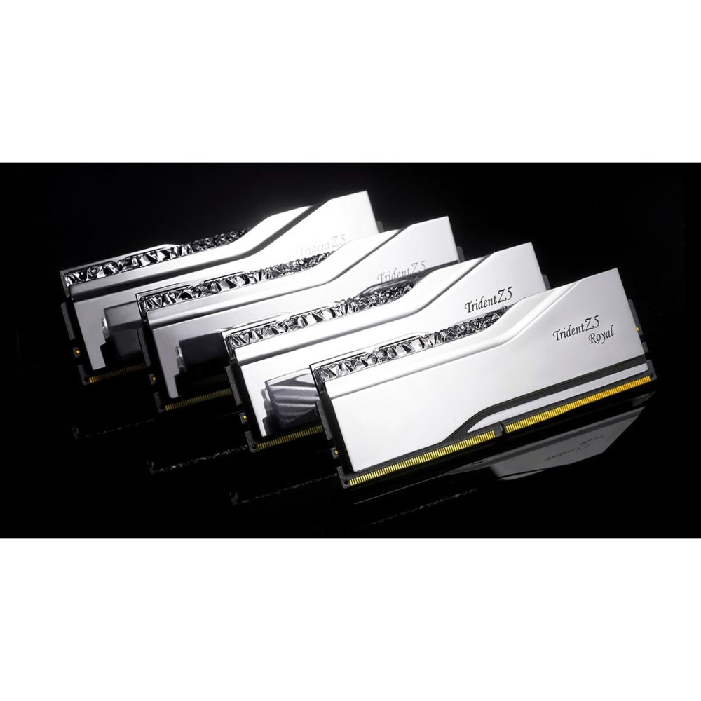 RAM Speicher GSKILL F5-8000J3848F24GX2-TR5S
