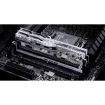 RAM Speicher GSKILL F5-8000J3848F24GX2-TR5S