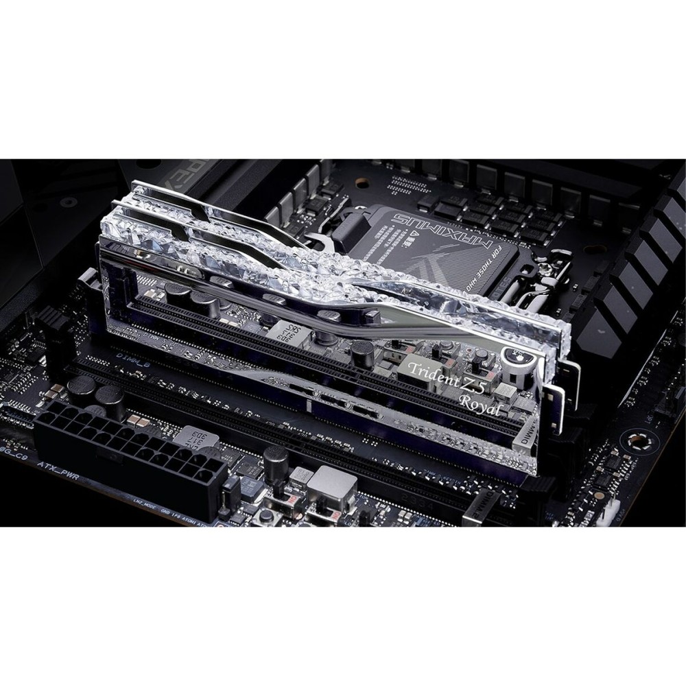 RAM Speicher GSKILL F5-8000J3848F24GX2-TR5S