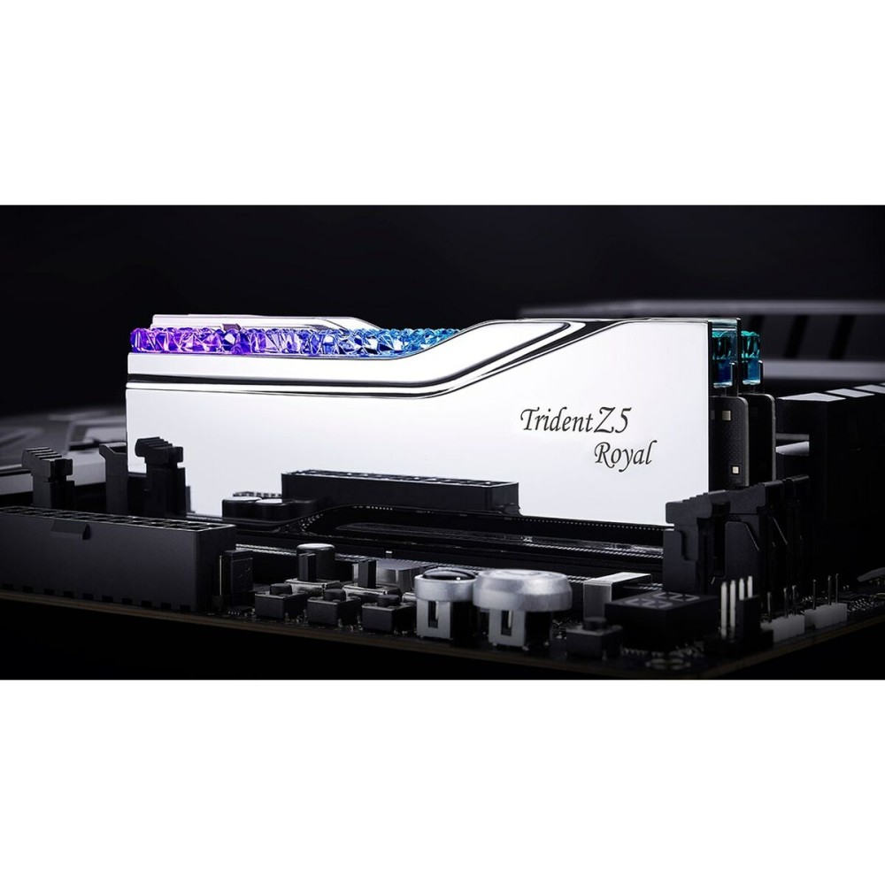 RAM Speicher GSKILL F5-8000J3848F24GX2-TR5S