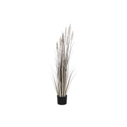 Plante décorative DKD Home Decor Joncs (35 x 35 x 120 cm)