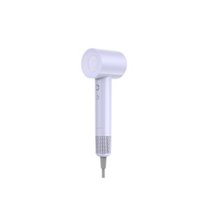Sèche-cheveux Havit HD201-EU Pourpre 1600 W