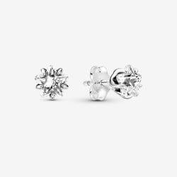 Boucles d´oreilles Femme Pandora 290023C01