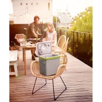 Mini Fridge Severin TKB 2924 Green 58 W