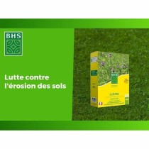 Seeds BHS Luzerne