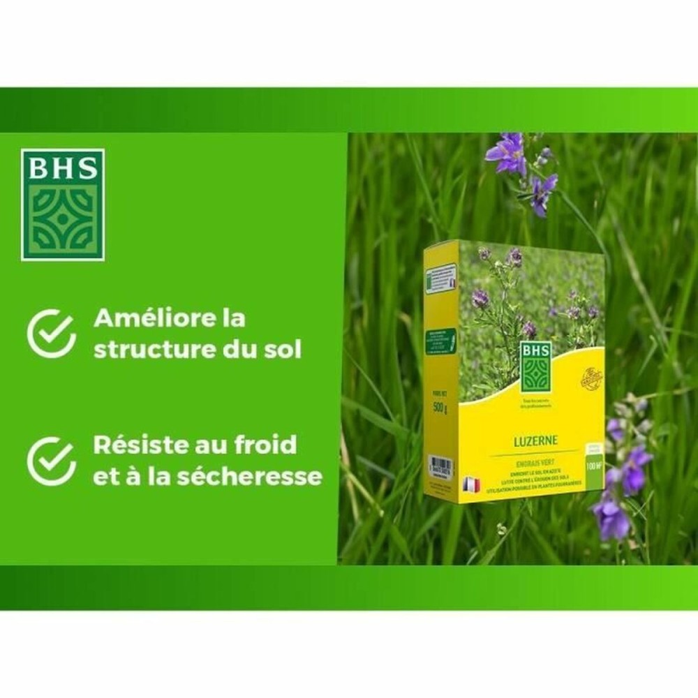 Samen BHS Luzerne