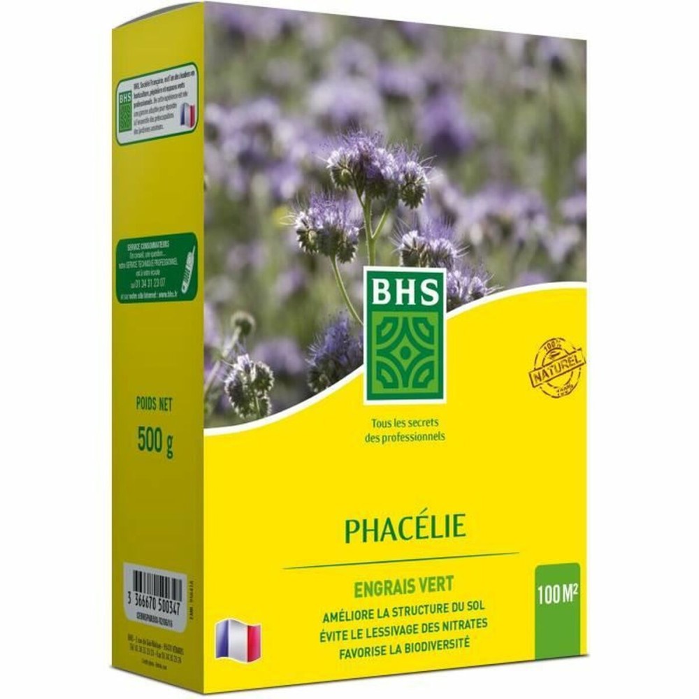 Samen BHS Phacélie 500 g