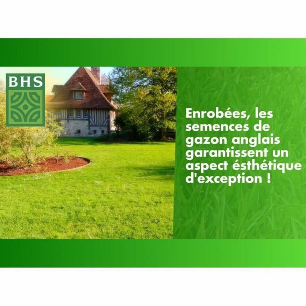 Samen BHS Gazon Anglais 10 kg
