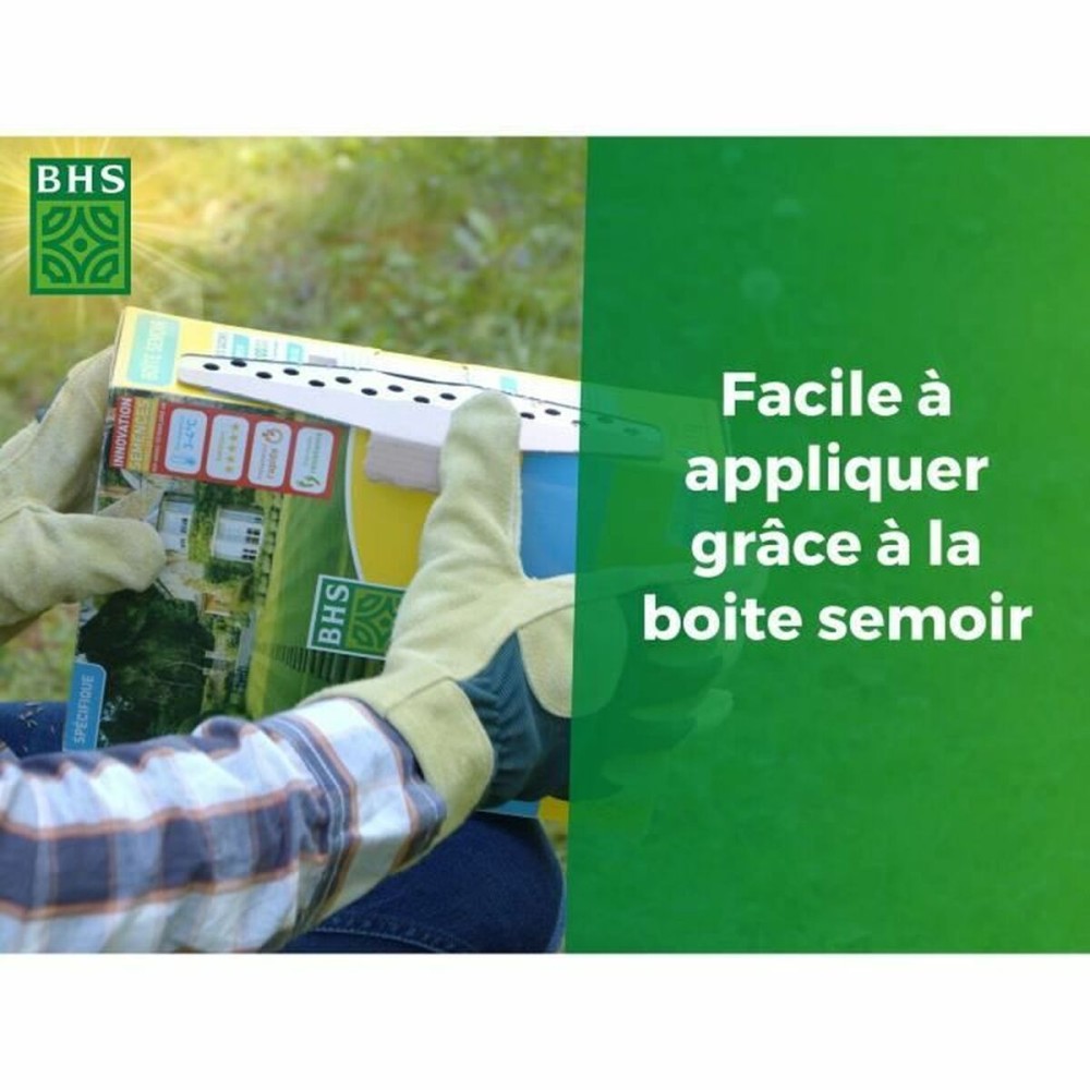 Seeds BHS Bord de Mer