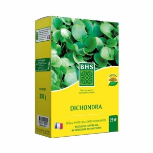 Seeds BHS Dichondra
