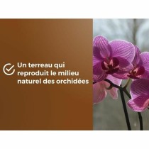 Blumenerde OR BRUN 6 L