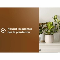 Potting compost OR BRUN 6 L