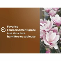 Potting compost OR BRUN 6 L