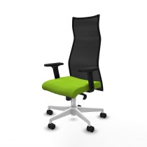 Chaise de Bureau Piqueras y Crespo B2D026N Pistache