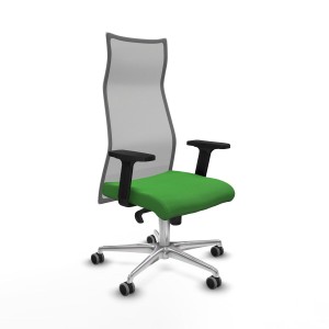 Office Chair Piqueras y Crespo B2D086G Green