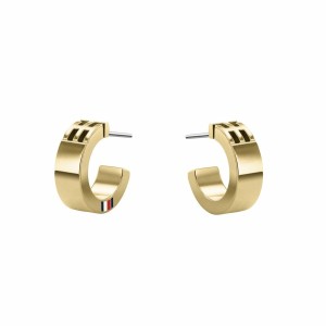 Damenohrringe Tommy Hilfiger 2780418 Edelstahl 1 cm