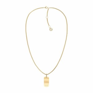 Collier Femme Tommy Hilfiger 2780862 50 cm