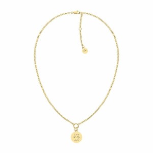 Collier Femme Tommy Hilfiger 2780903 45 cm