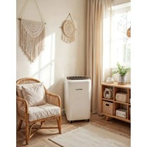 Portable Air Conditioner Blaupunkt AGDBLFAN013