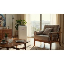 Portable Air Conditioner Blaupunkt AGDBLFAN014