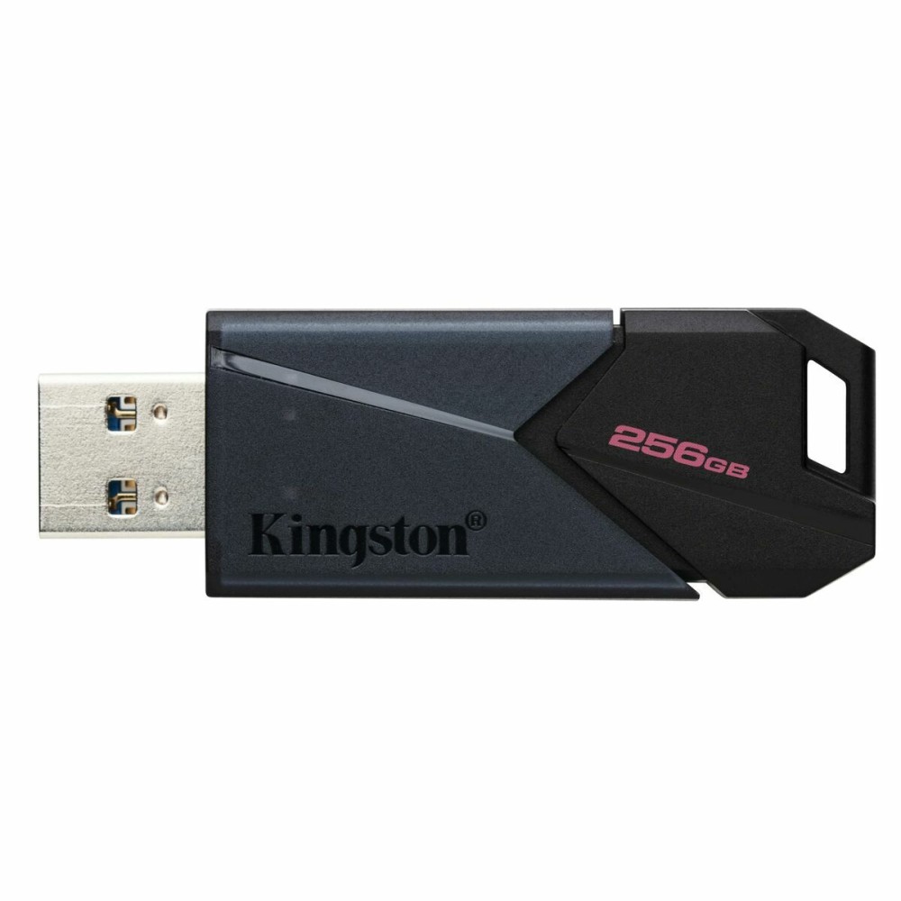 USB stick Kingston DTXON/256GB Black 256 GB