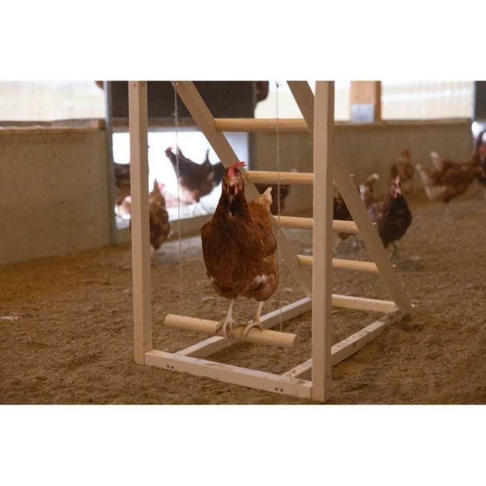 Leiter Kerbl Beige 85 x 55 x 76 cm Huhn