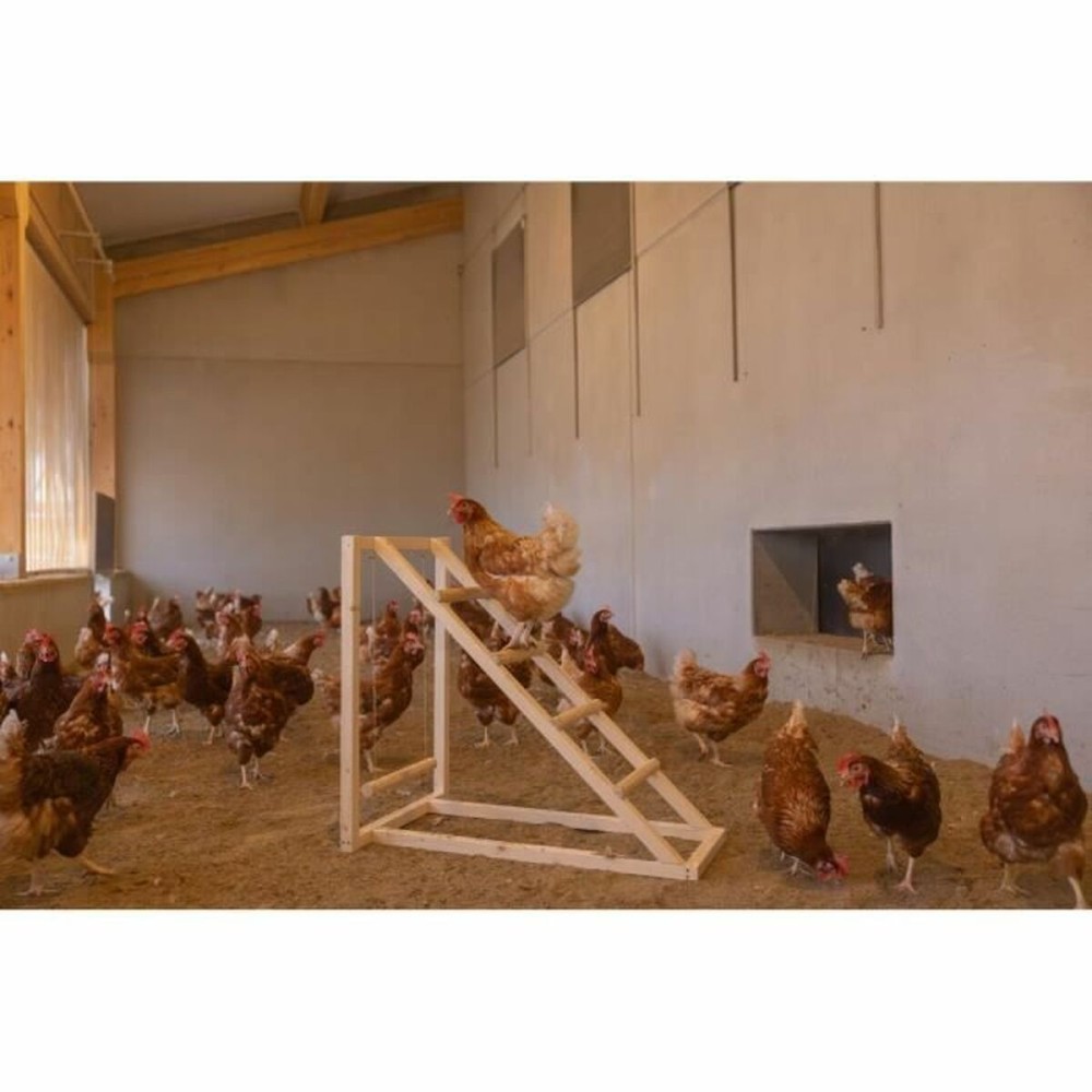 Leiter Kerbl Beige 85 x 55 x 76 cm Huhn