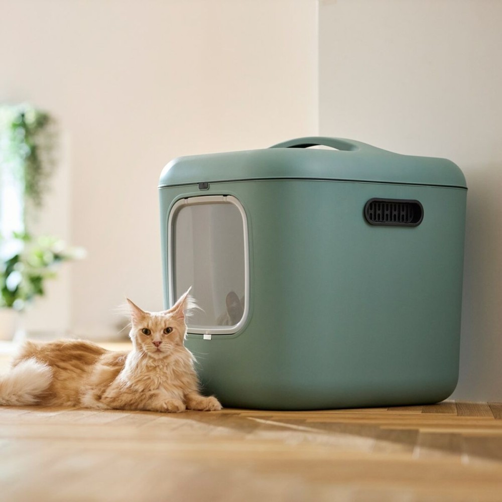 Cat Litter Box Rotho Green Plastic