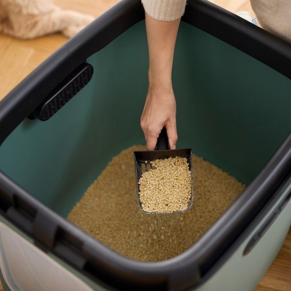 Cat Litter Box Rotho Green Plastic