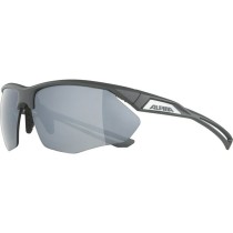 Lunettes de soleil Homme Alpina A8635332