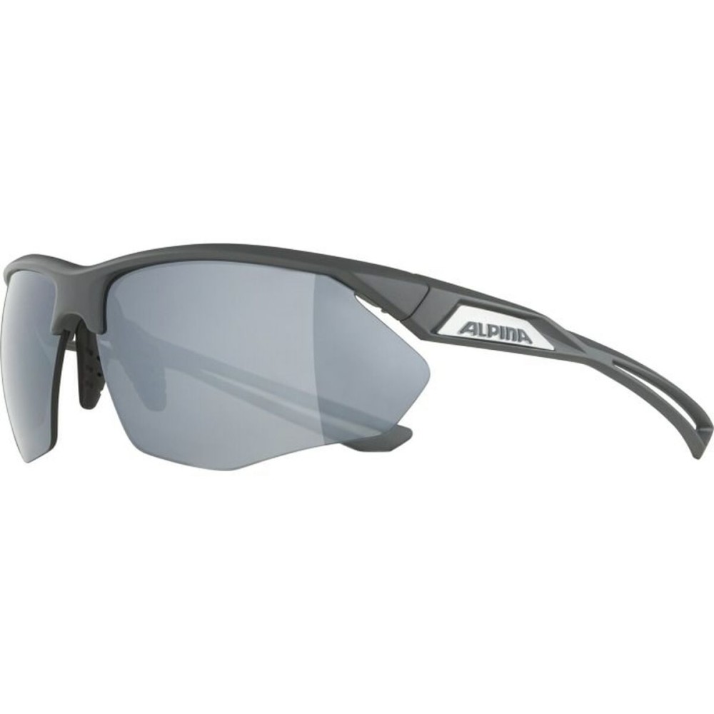 Lunettes de soleil Homme Alpina A8635332
