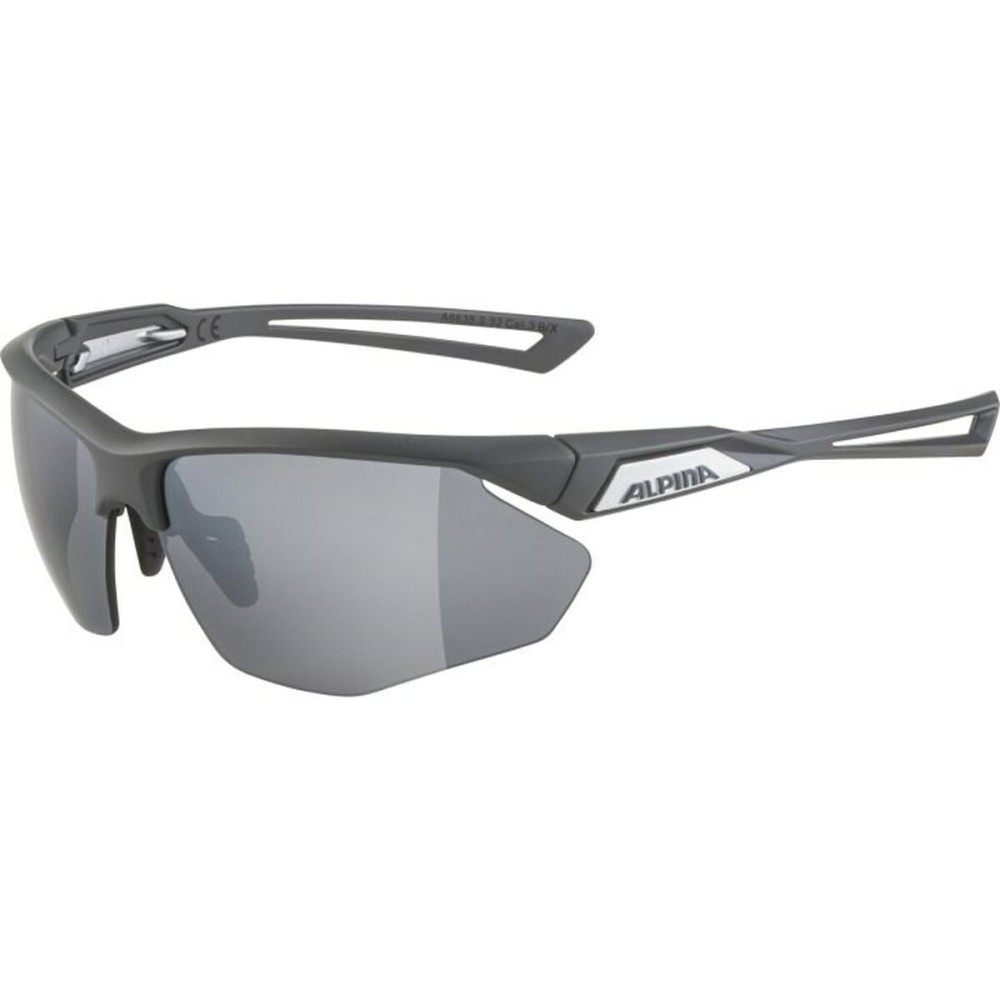 Lunettes de soleil Homme Alpina A8635332