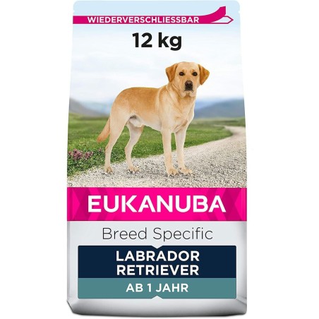 Fodder Eukanuba Adult Chicken Turkey 12 kg