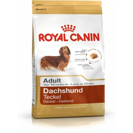 Fodder Royal Canin Dachshund Adult Adult Chicken Rice Birds 1,5 Kg