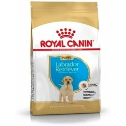 Nourriture Royal Canin Petit/Junior Poulet 3 Kg