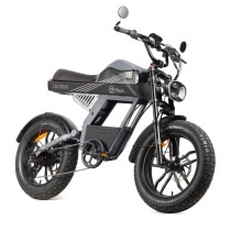 Vélo Électrique Youin BK7100 LAS VEGAS 250 W 20"