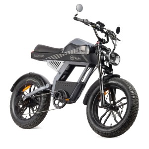 Vélo Électrique Youin BK7100 LAS VEGAS 250 W 20"